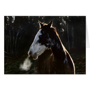 Cartão EarlyMornBlues