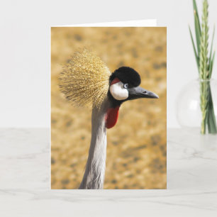Cartão East African Crowned Crane Card