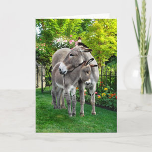 Cartão "Easter & Baby Eno" Greeting Card