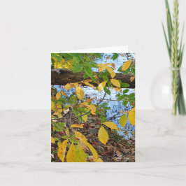 Cartão Ecclesiastes 3:1 