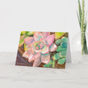Cartão Echeveria Rosa de Debra Lee Baldwin