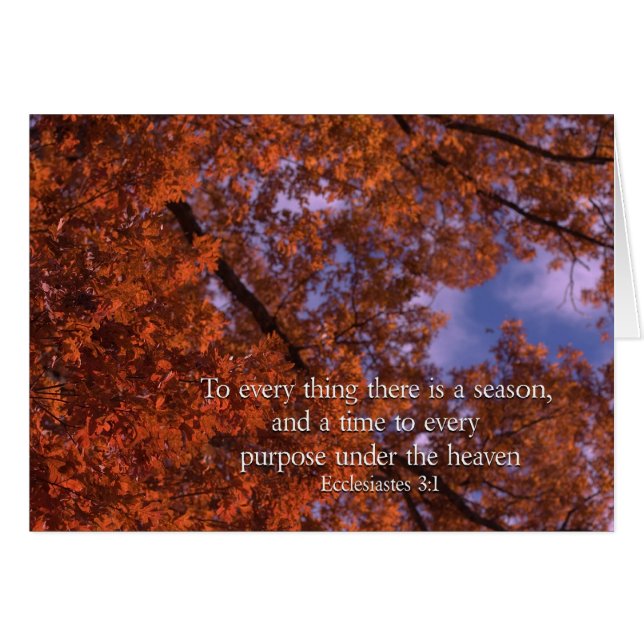 Cartão Eclesiastas 3:1 Para tudo que há uma estação (Frente Horizontal)