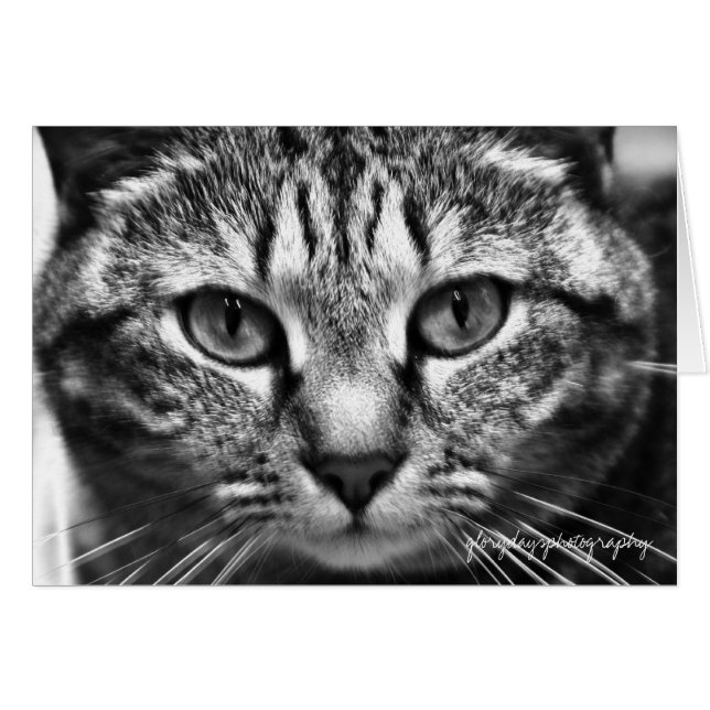 Cartão Eco (Frente Horizontal)