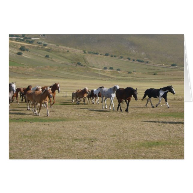 Cartão Efetivo de Cavalos (Frente Horizontal)