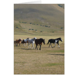 Cartão Efetivo de Cavalos