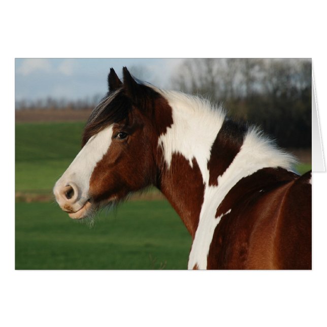 Cartão Egehojs Maj (Frente Horizontal)