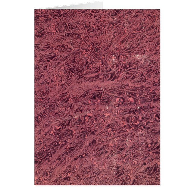 Cartão egípcio (Frente)