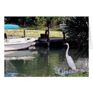 Cartão Egret