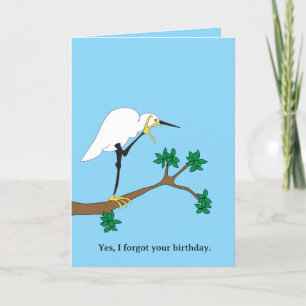 Cartão Egret Belated Birthday