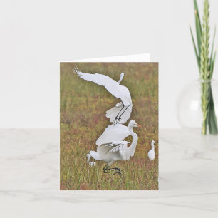 Cartão Egret Birds Wildlife Animals Wetlands Note Card