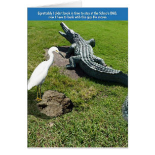 Cartão Egret & Gator