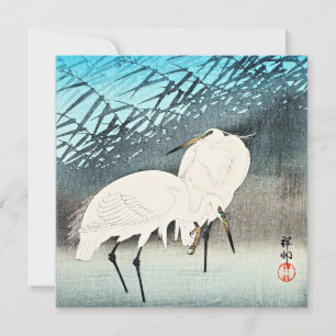 Cartão Egrets and Reeds, belas artes de Ohara Koson