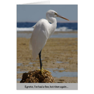 Cartão Egrets que eu tive alguns