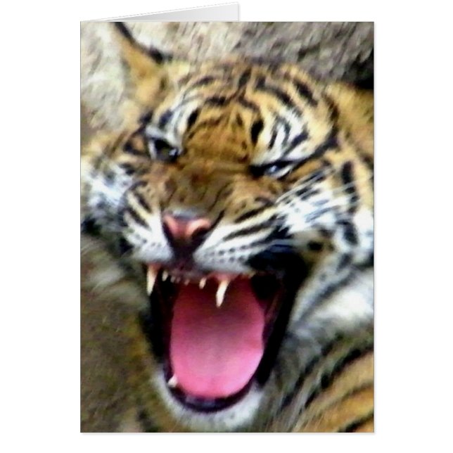 Cartão Ei! (Frente)