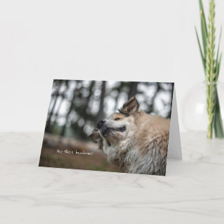 Cartão Ei, bonito!cartão