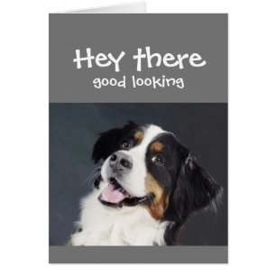 Cartão Ei, Cachorro Bonito De Aniversário