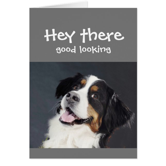 Cartão Ei, Cachorro Bonito De Aniversário (Frente)