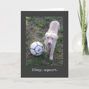 Cartão Ei, Esporte. Dia de os pais Puppy do laboratório a