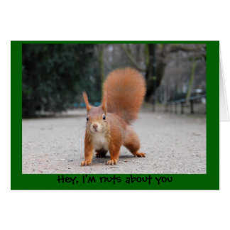 Cartão Ei, sou loucos sobre você