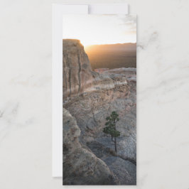 Cartão El Malpais Sandstone Bluffs