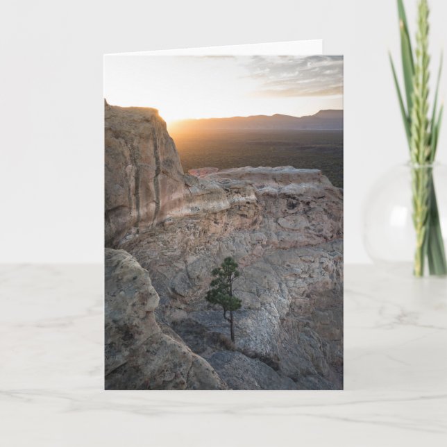 Cartão El Malpais Sandstone Bluffs (Frente)