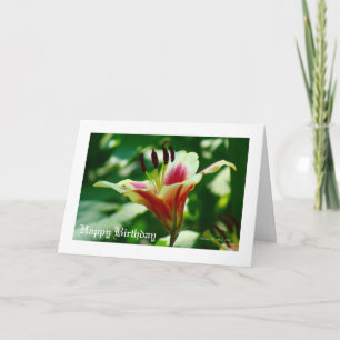 Cartão Ela caminha de beleza...