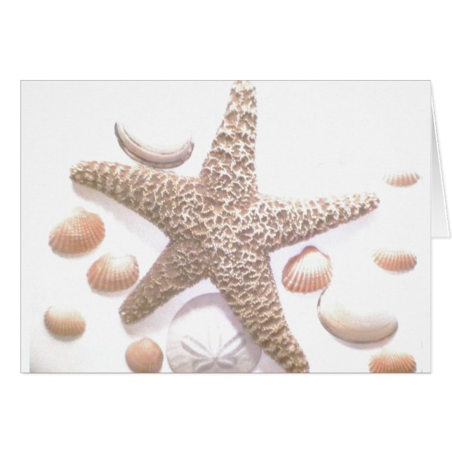 Cartão Ela vende conchas do mar (Frente Horizontal)