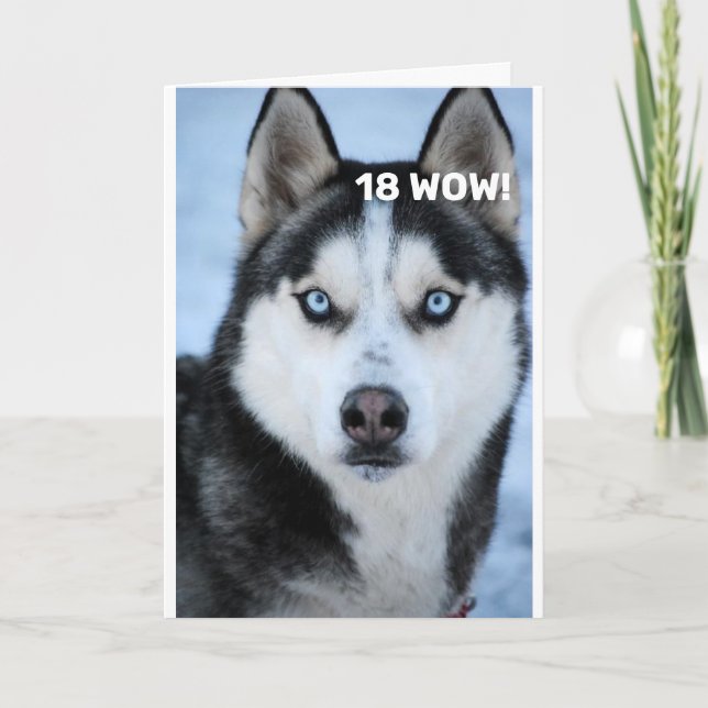 Cartão ELE DIZ PORQUE "aniversário de 21 anos" HUMOR Card (Frente)