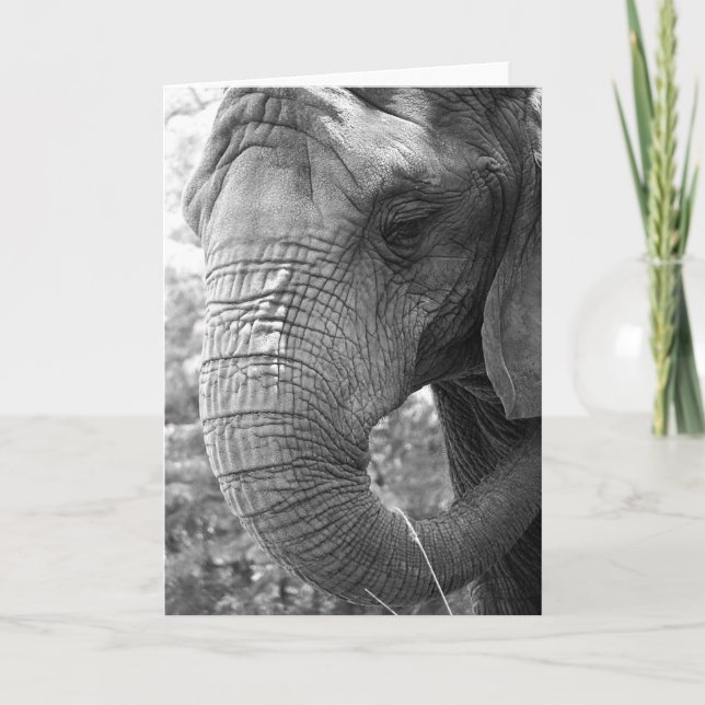 Cartão Elefante (Frente)