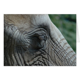 Cartão Elefante