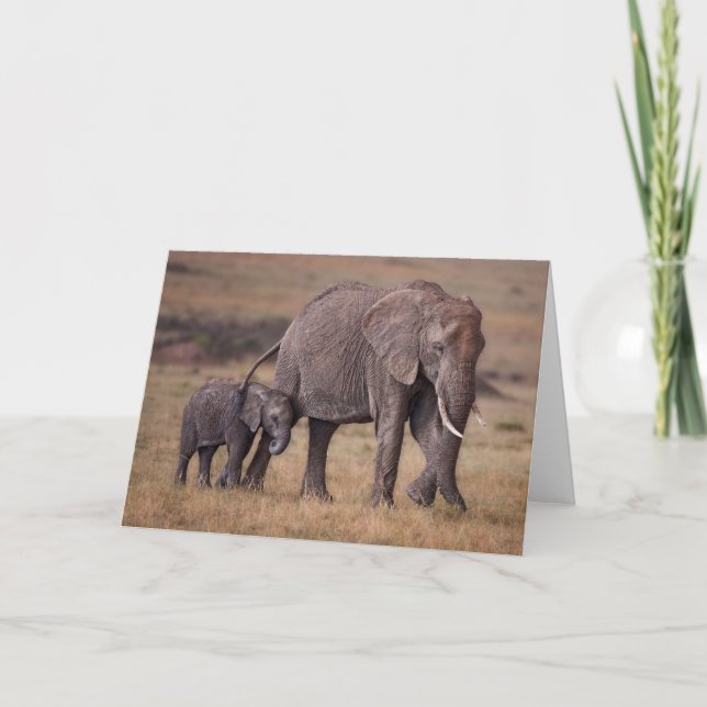 Cartão Elefante Africano com Bebê (Frente)
