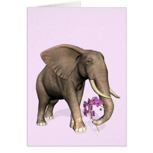 Cartão Elefante Com Orquídea Rosa