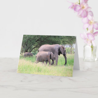 Cartão Elefante com vitelos Animais Selvagens Foto