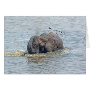 Cartão Elefante de banho