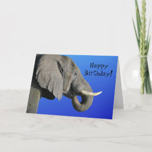 Cartão Elefante Feliz Aniversário Engraçado Idade Azul 