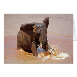 Cartão Elefante que joga com água