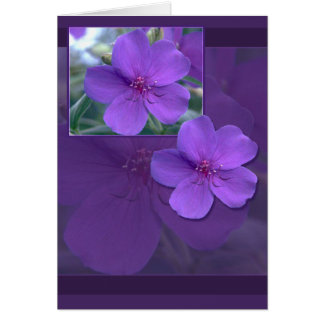 Cartão Elegância Floral Roxa