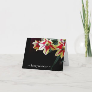 Cartão Elegant Birthday Cards- Red & Yellow Tulips