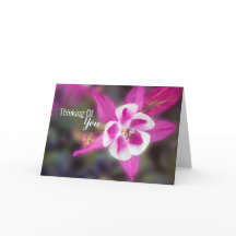 Elegante Columbine Pink Pensando Em Você