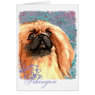 Cartão elegante de Pekingese