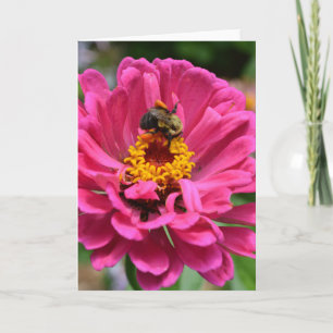 Cartão Elegante flor de mum floral rosa abelha-mel