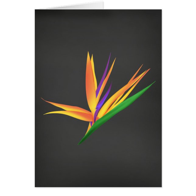 Cartão Elegante Obrigado pela sua simpatia (Frente)