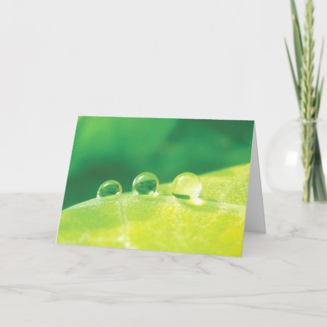 Cartão Elegante, Poucas, Histórias em Poesia da Natureza (Frente)