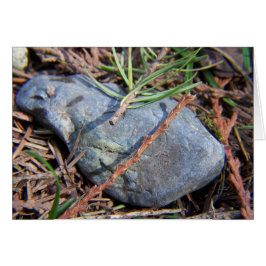 Cartão Elementos de Naturas