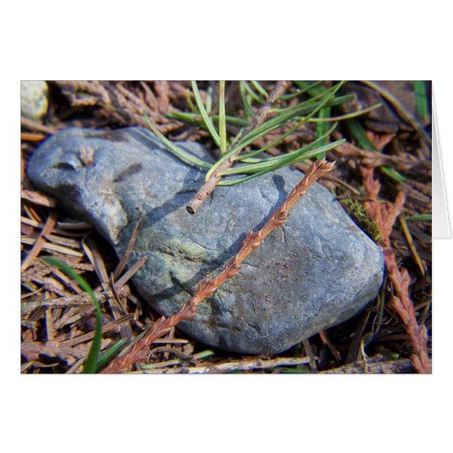 Cartão Elementos de Naturas (Frente Horizontal)