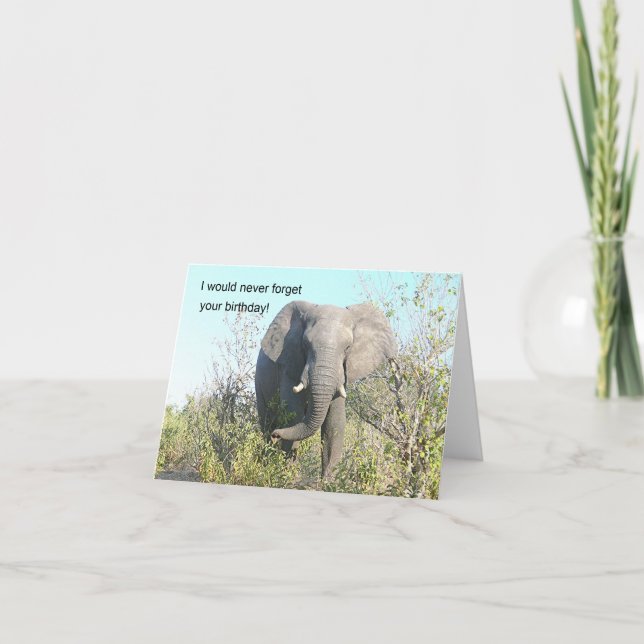 CARTÃO ELEPHANT ANDANDO EM DIREÇÃO À CÂMERA (Frente)