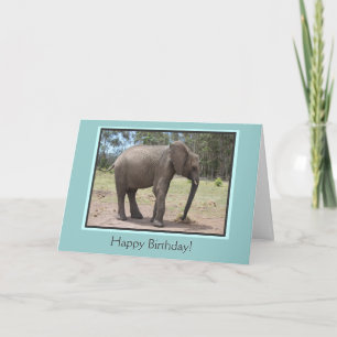 Cartão Elephant Happy Birthday
