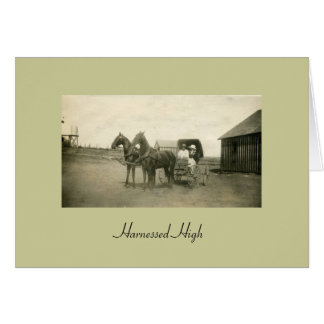 Cartão Elevação aproveitada