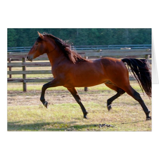 Cartão Elevado Empenhamento (Frente Horizontal)