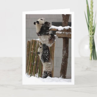 Cartão elevador da panda